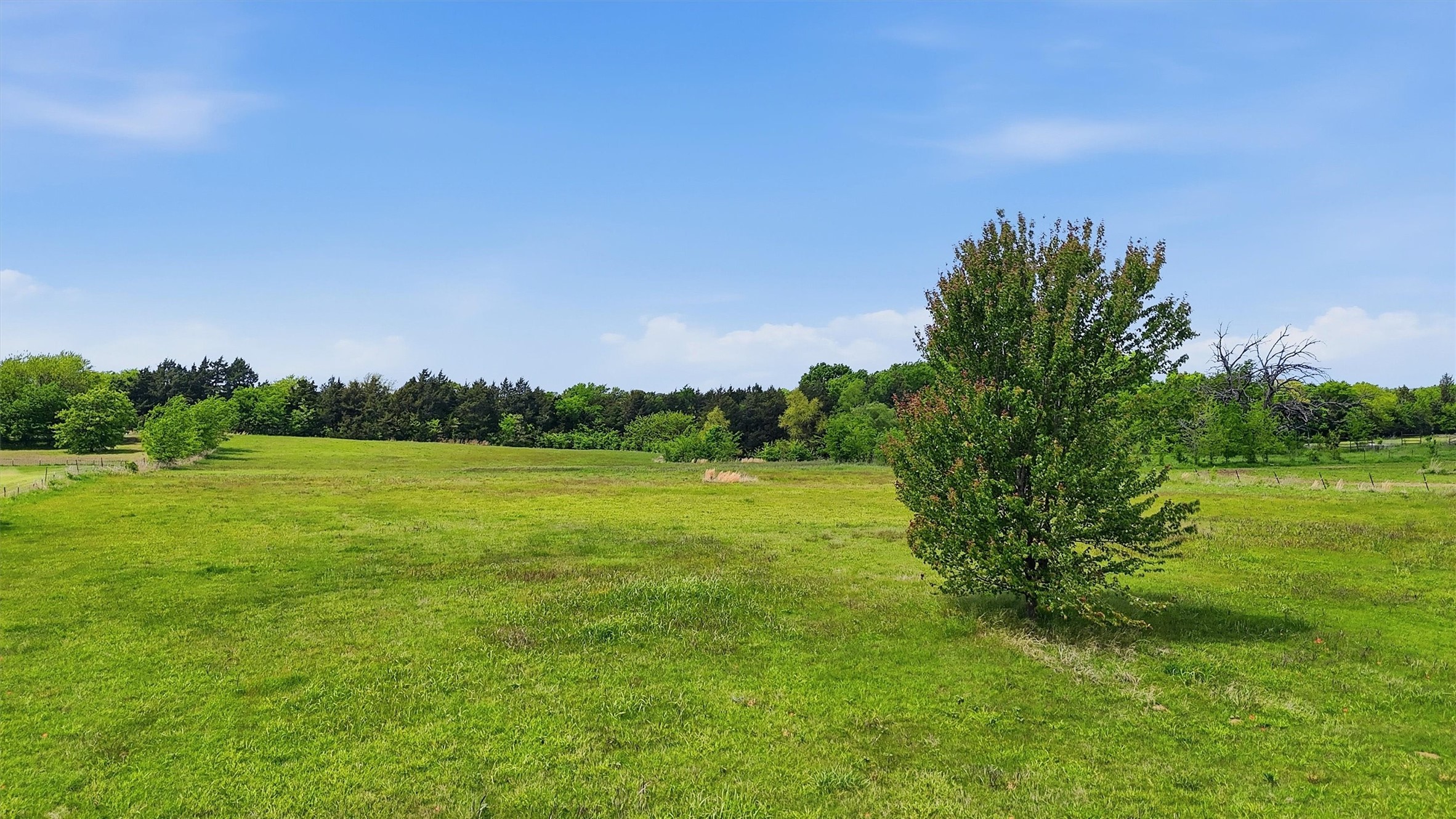 155 Basin Springs Road Sadler TX 76264