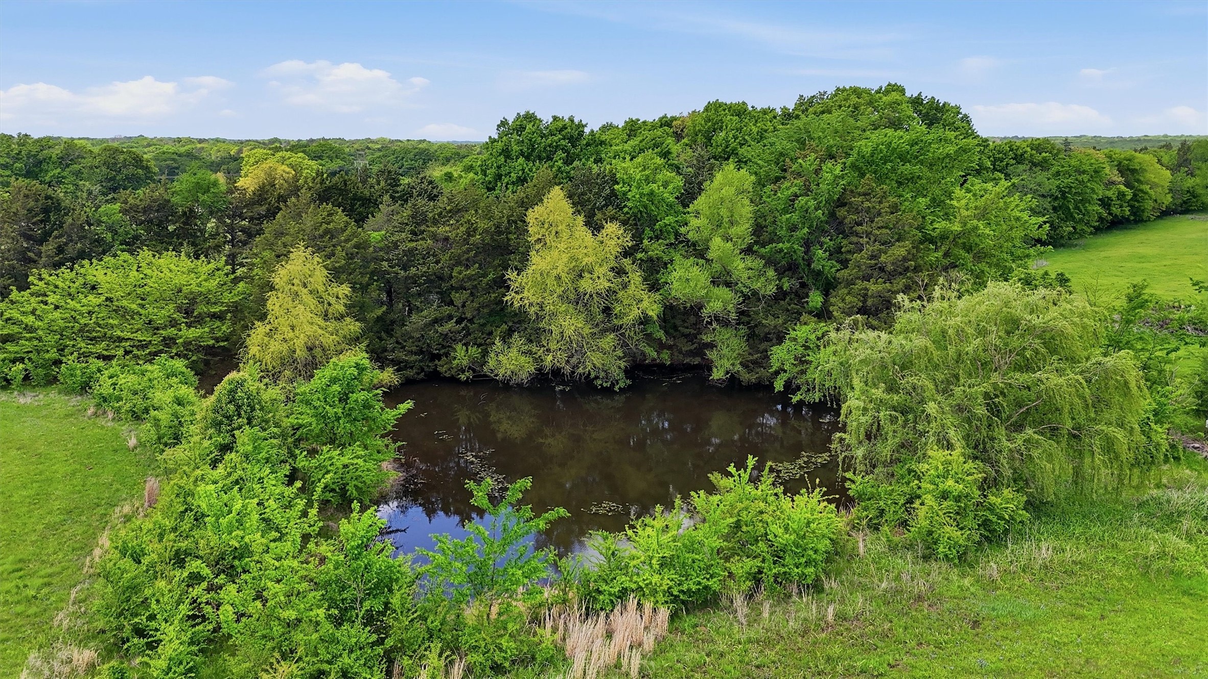 155 Basin Springs Road Sadler TX 76264