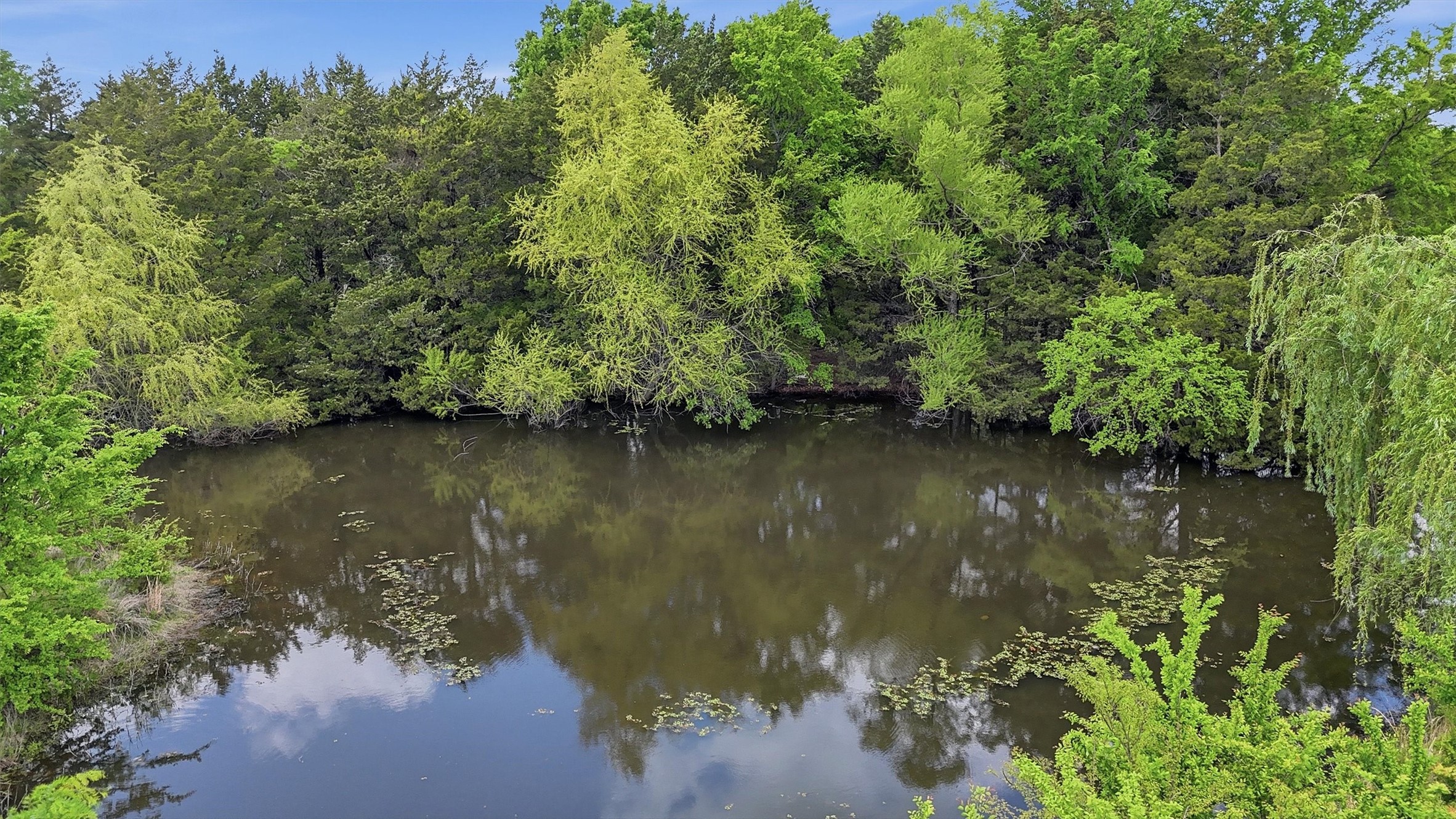 155 Basin Springs Road Sadler TX 76264