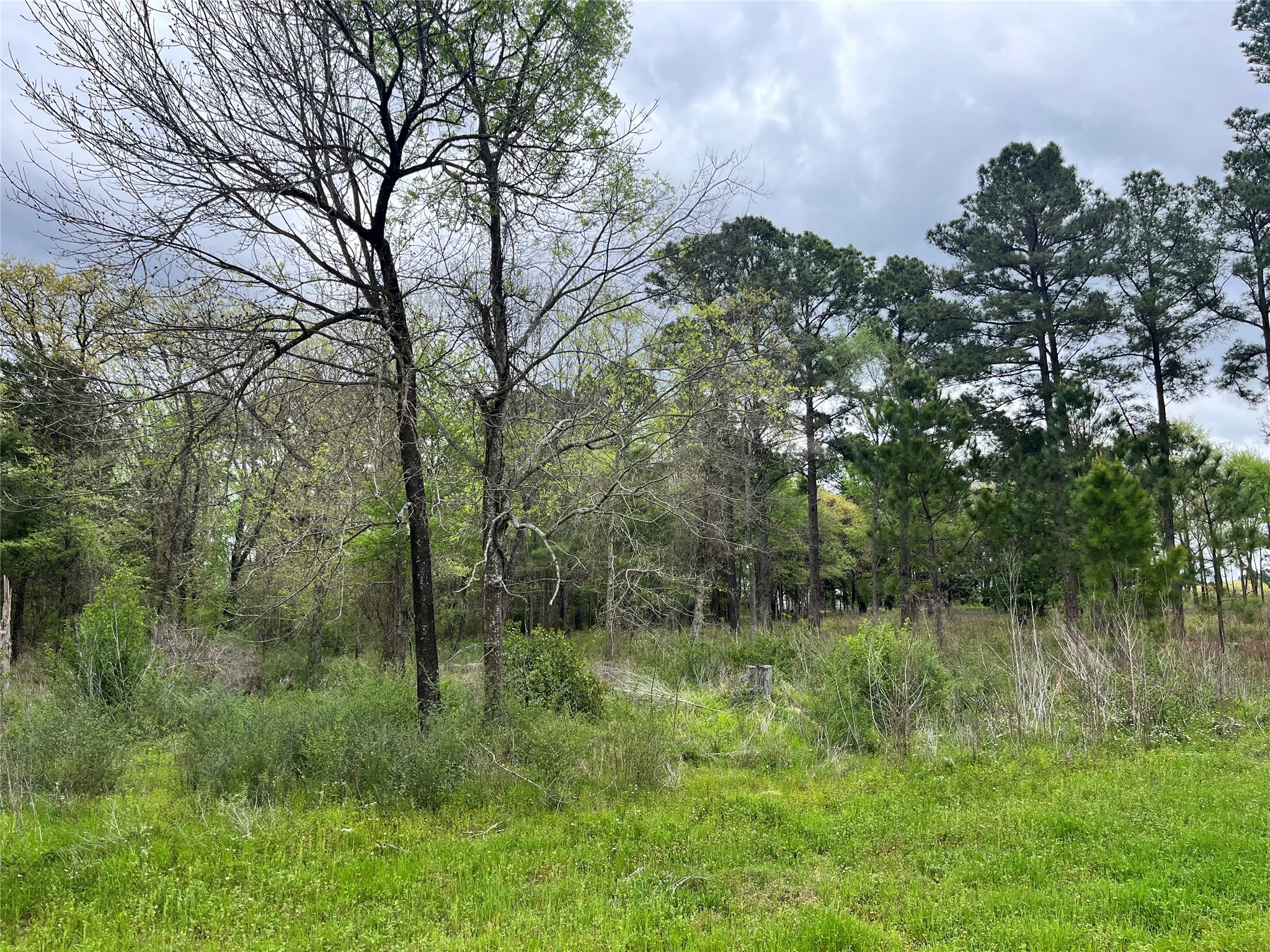 5392 Grand View Drive Athens TX 75752