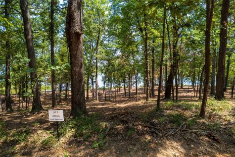 TBD Private Road 52447 Leesburg TX 75451