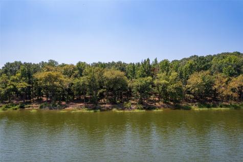 Tbd Private Road 52447 Leesburg TX 75451