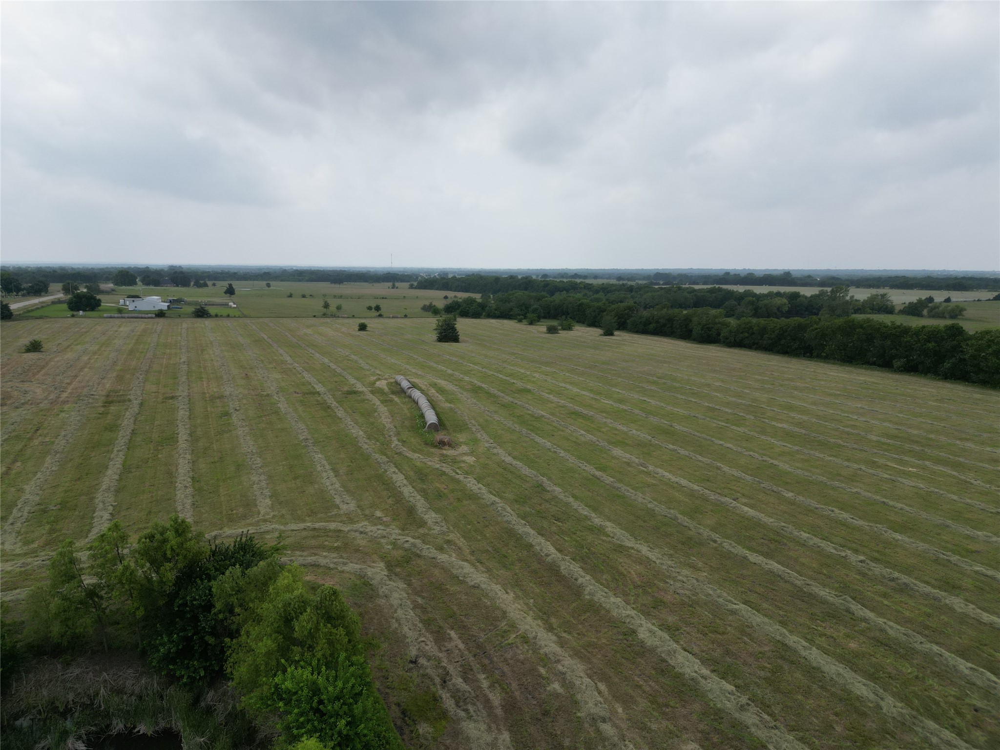 20 Ac Fm 2716 Cooper TX 75432