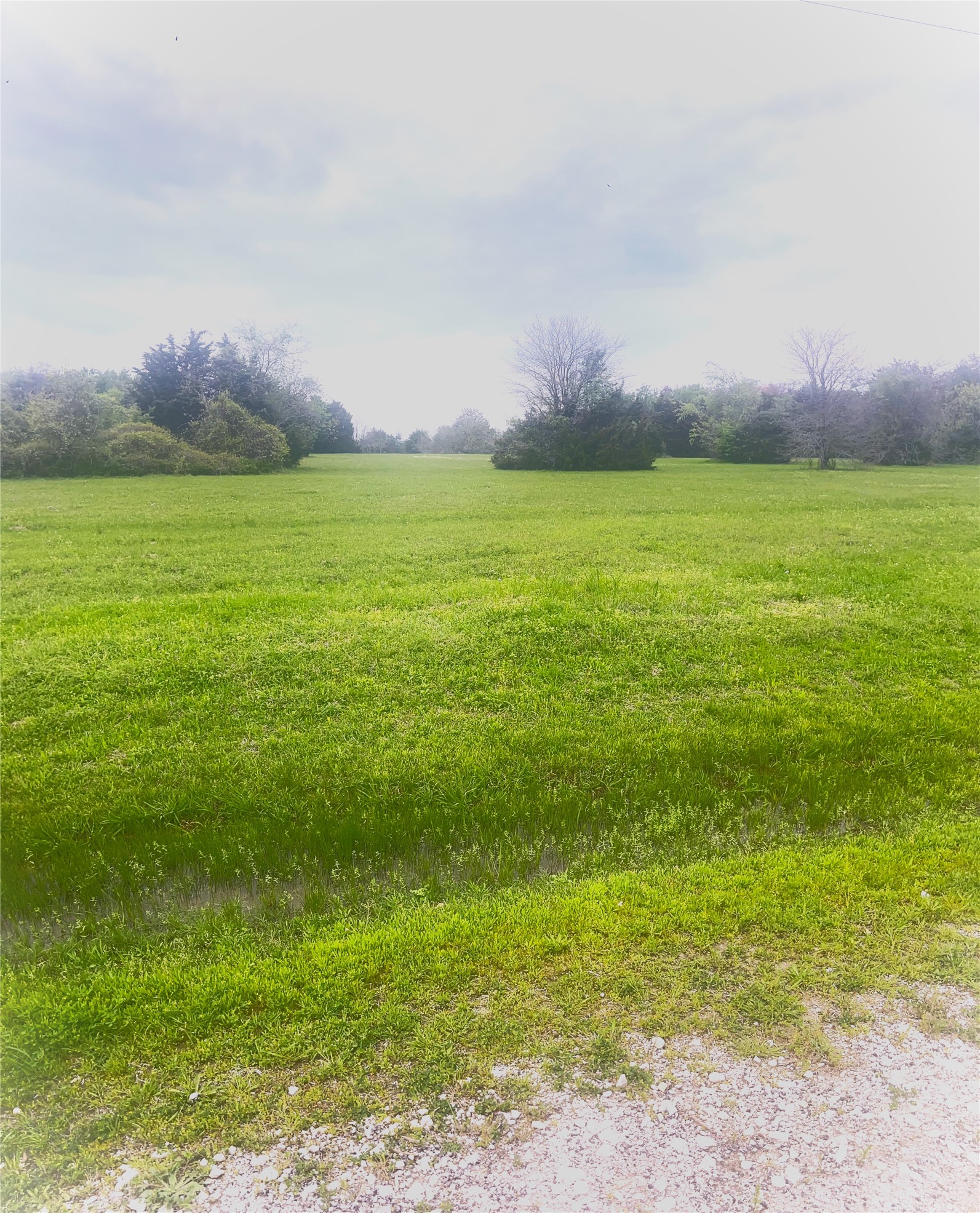 Tbd (lot 3) Sweetwater Trail Kerens TX 75144