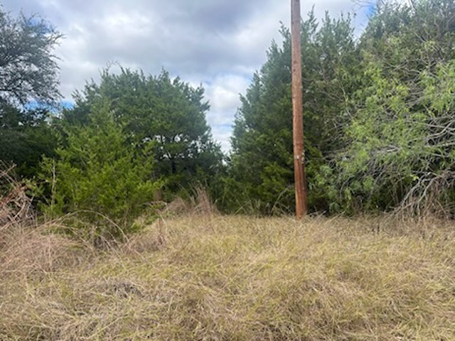 1533 White Bluff Drive Whitney TX 76692