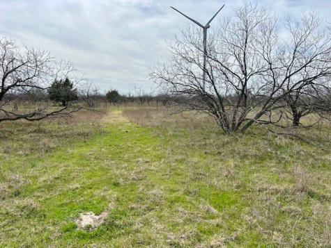 Tbd SW Cr 4260 Tract 3 Dawson TX 76639