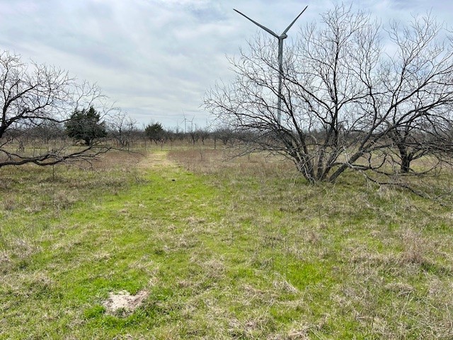 Tbd SW Cr 4260 Tract 3 Dawson TX 76639