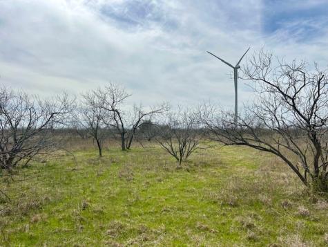 Tbd SW Cr 4260 Tract 3 Dawson TX 76639
