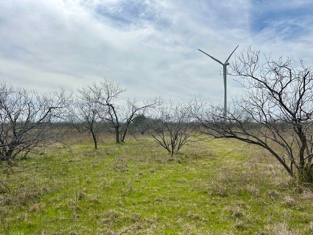Tbd SW Cr 4260 Tract 3 Dawson TX 76639