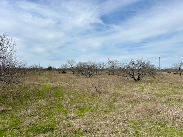 Tbd SW Cr 4260 Tract 3 Dawson TX 76639