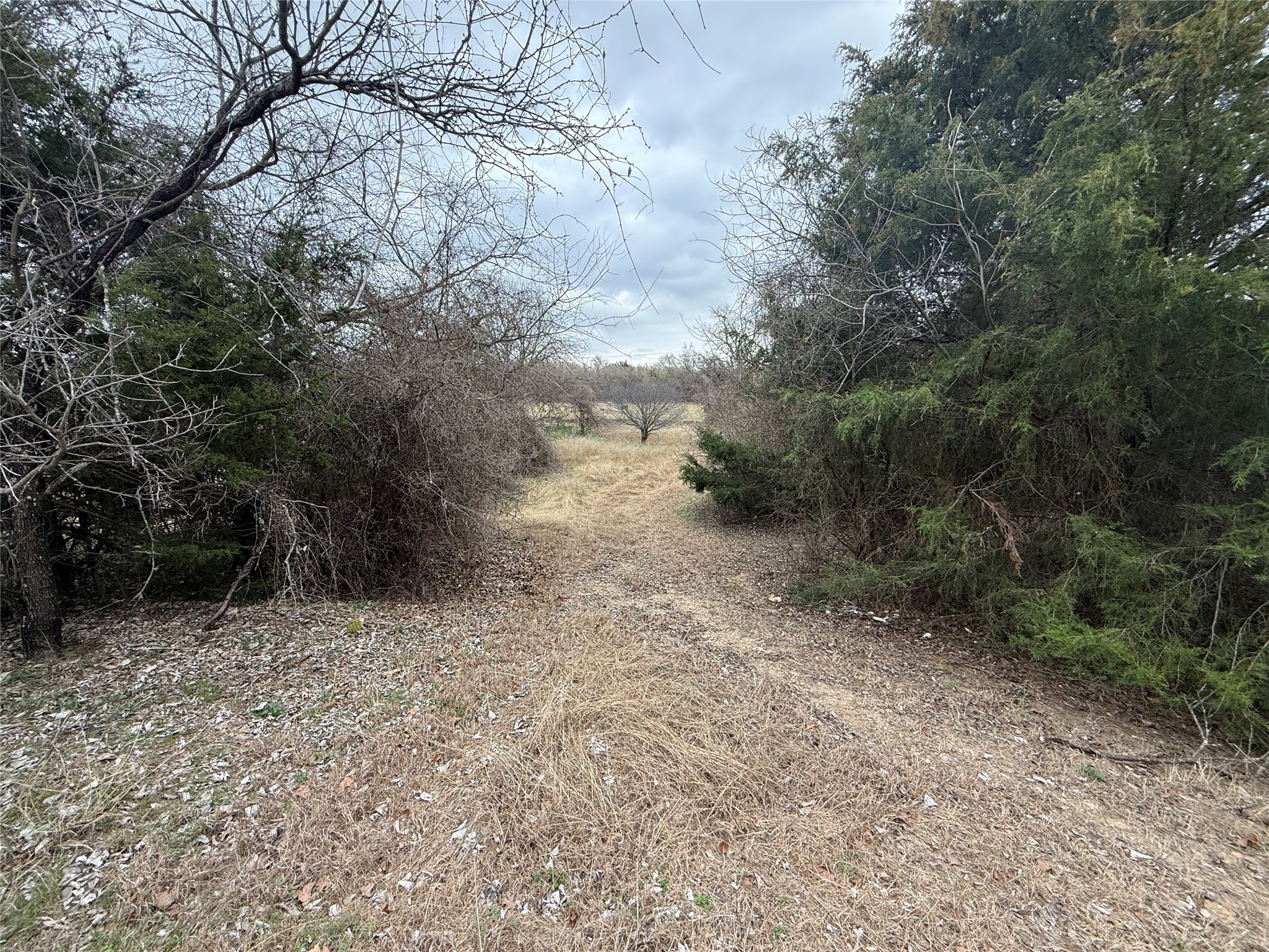 353 County Road 1260 Decatur TX 76234