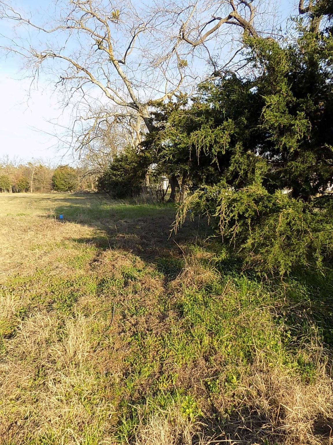 Tbd Rs County Road 3410 Emory TX 75440
