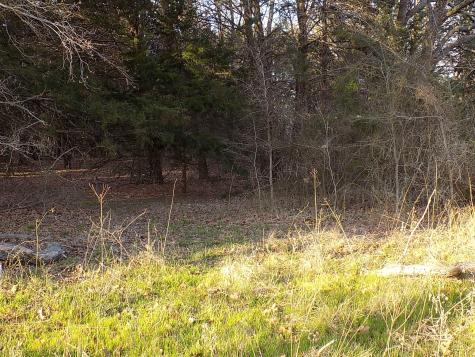 Tbd Rs County Road 3410 Emory TX 75440