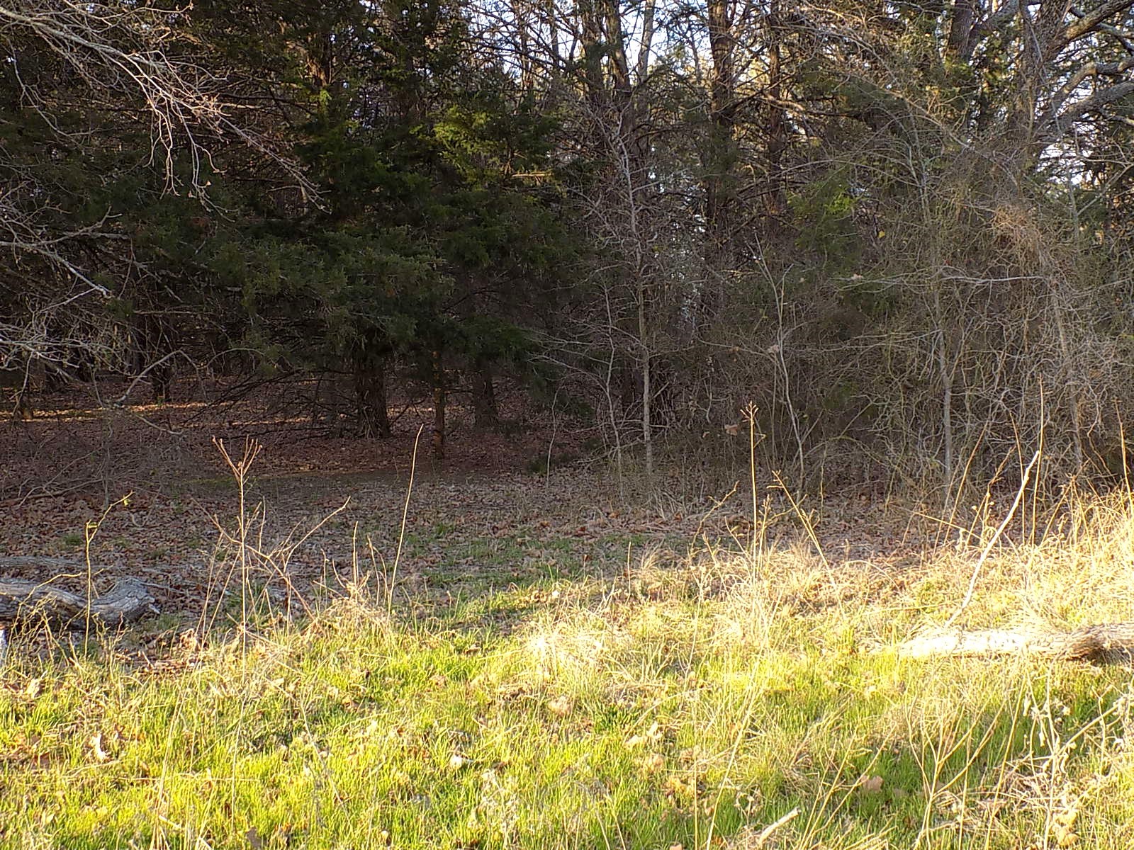 Tbd Rs County Road 3410 Emory TX 75440