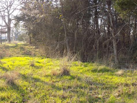 Tbd Rs County Road 3410 Emory TX 75440
