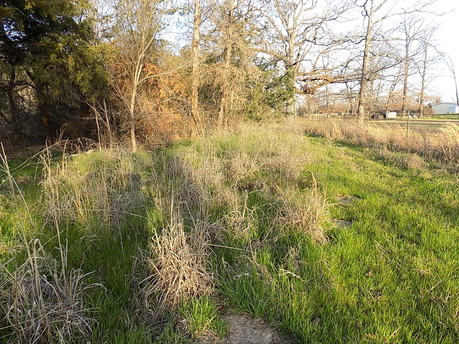 Tbd Rs County Road 3410 Emory TX 75440