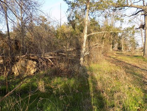 Tbd Rs County Road 3410 Emory TX 75440