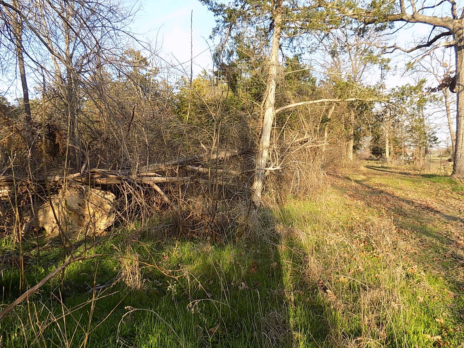 Tbd Rs County Road 3410 Emory TX 75440