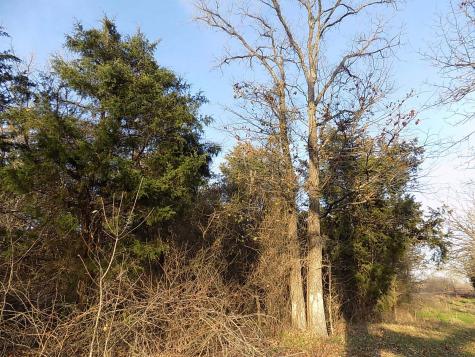 Tbd Rs County Road 3410 Emory TX 75440