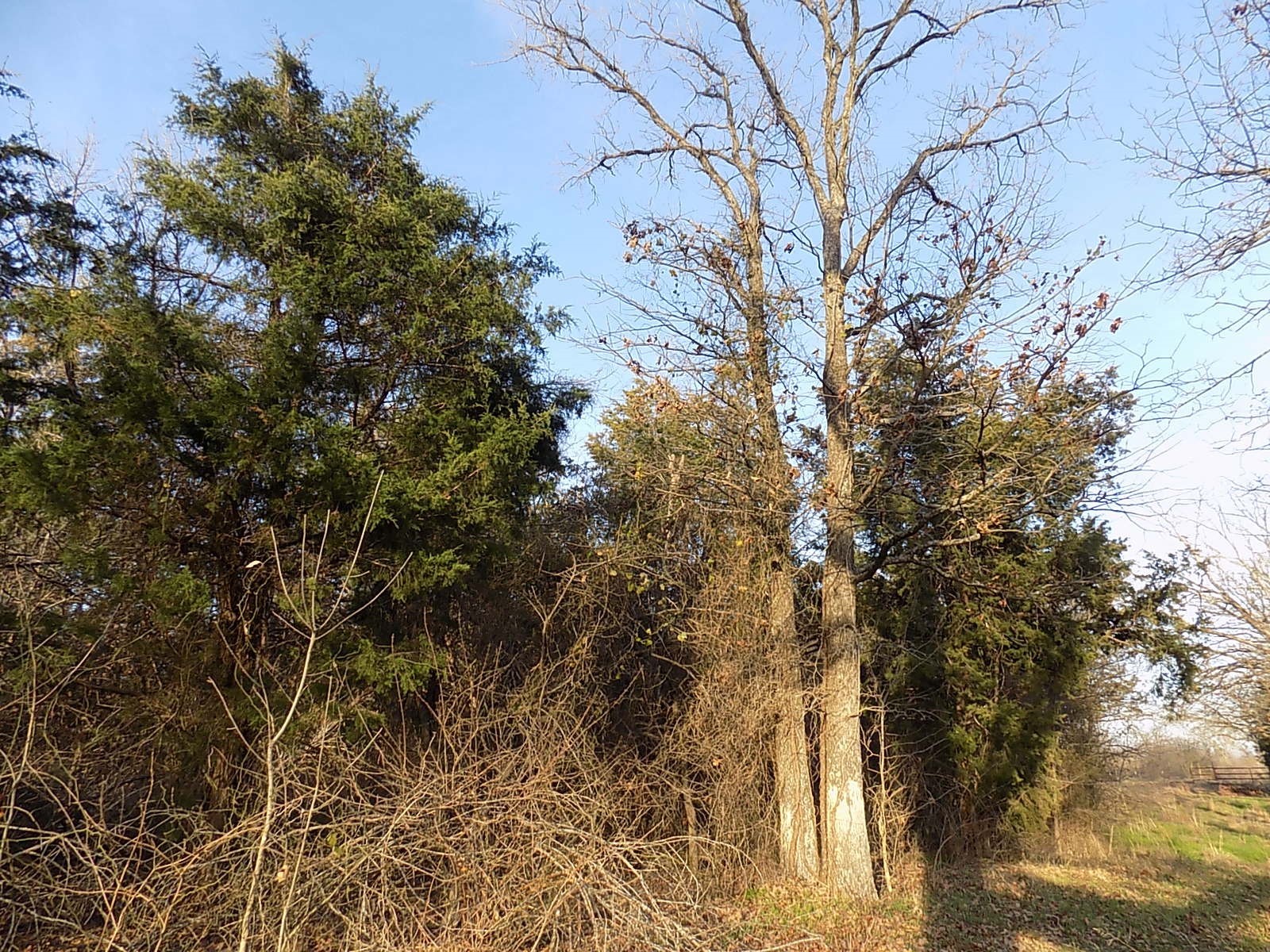 Tbd Rs County Road 3410 Emory TX 75440