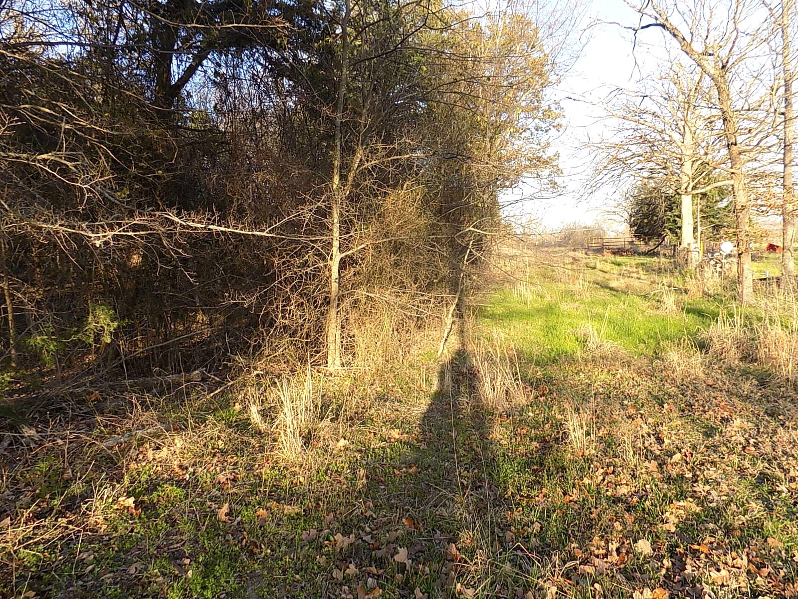 Tbd Rs County Road 3410 Emory TX 75440
