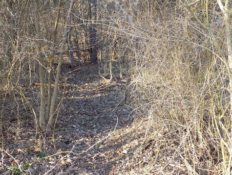 Tbd Rs County Road 3410 Emory TX 75440