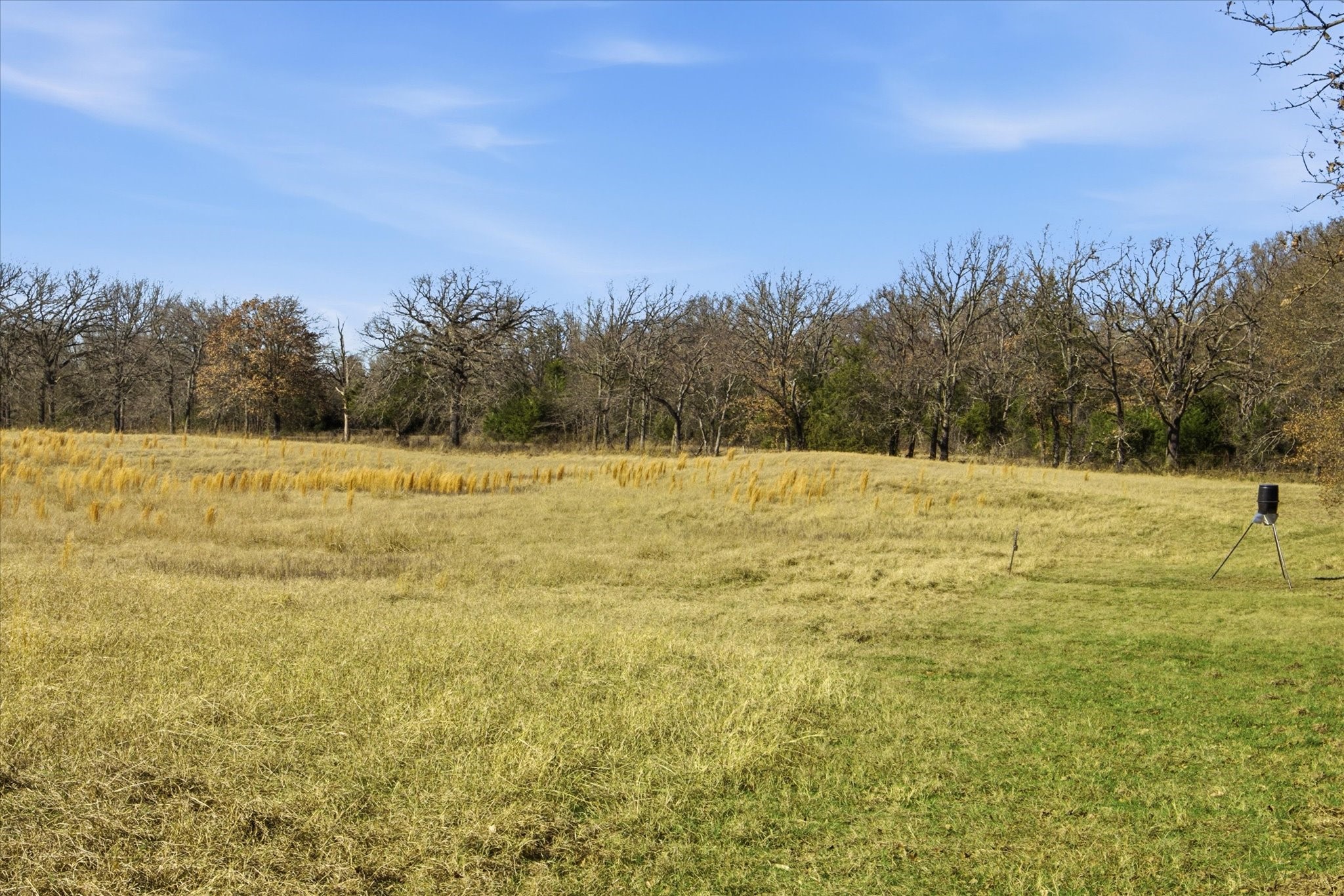 Tbd Lot 2 Countty Road 349 Terrell TX 75161