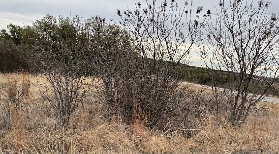 Lot 295 Shooting Star Court Possum Kingdom Lake TX 76449