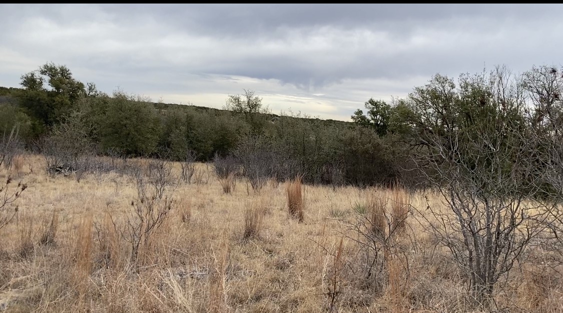 Lot 295 Shooting Star Court Possum Kingdom Lake TX 76449