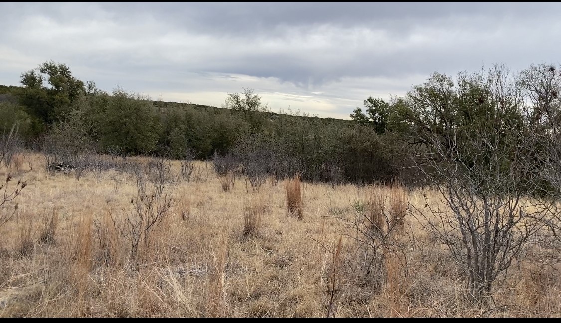 Lot 295 Shooting Star Court Possum Kingdom Lake TX 76449
