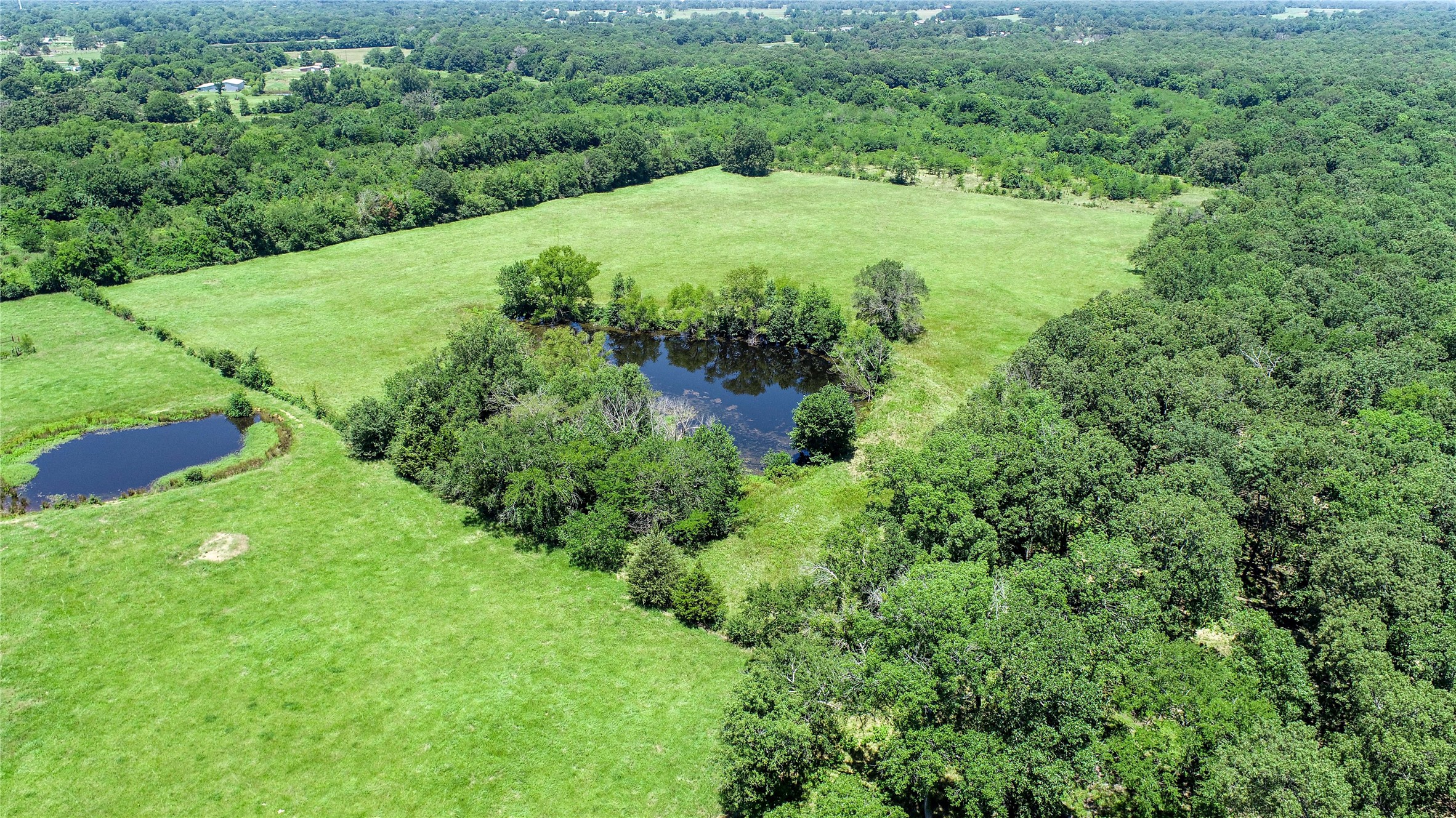 1095 Fm 194 Blossom TX 75416
