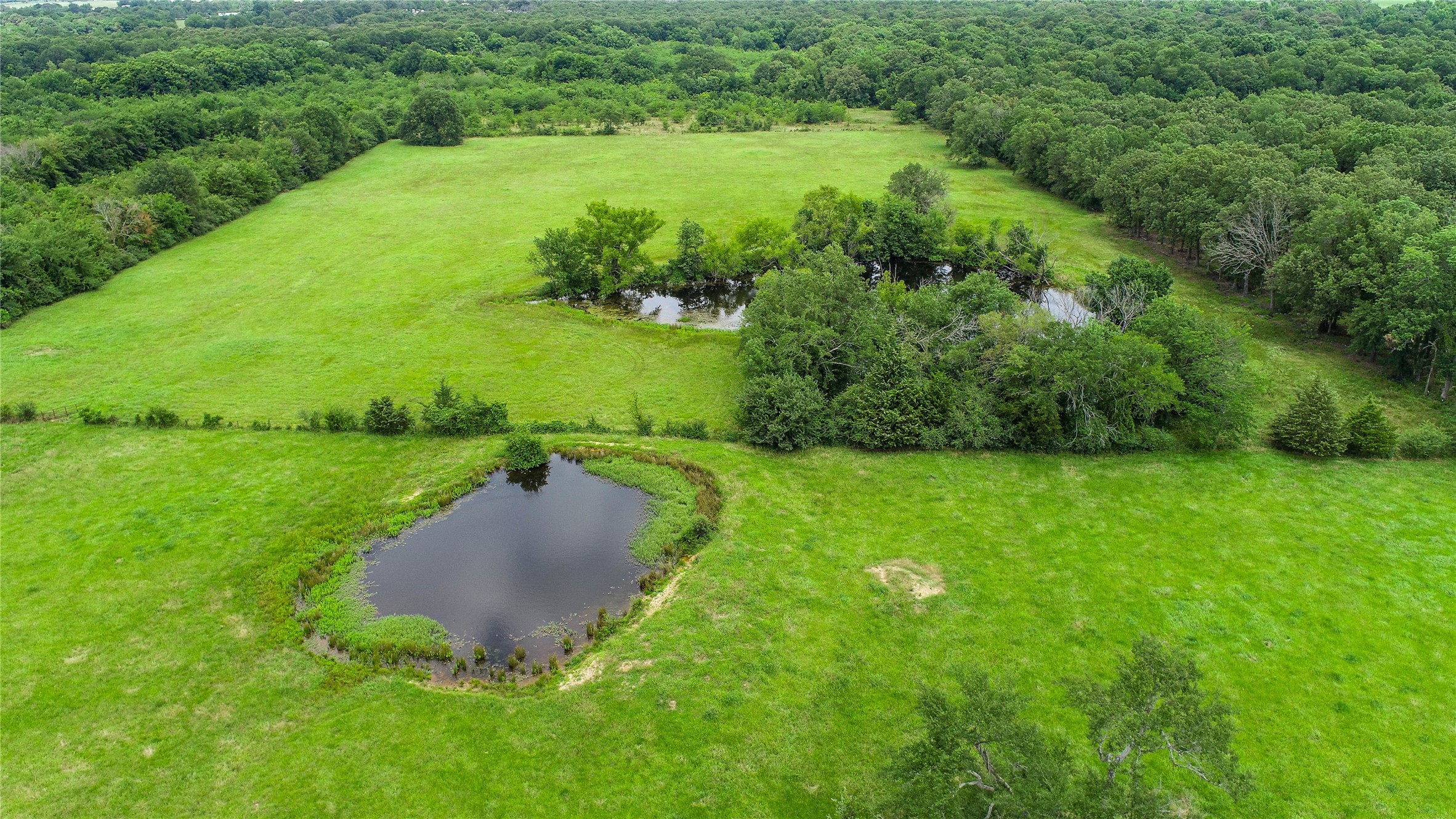 1095 Fm 194 Blossom TX 75416