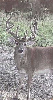 6935 U.s. Highway 175 W Jacksonville TX 75766