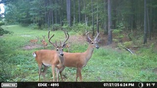 6935 U.s. Highway 175 W Jacksonville TX 75766
