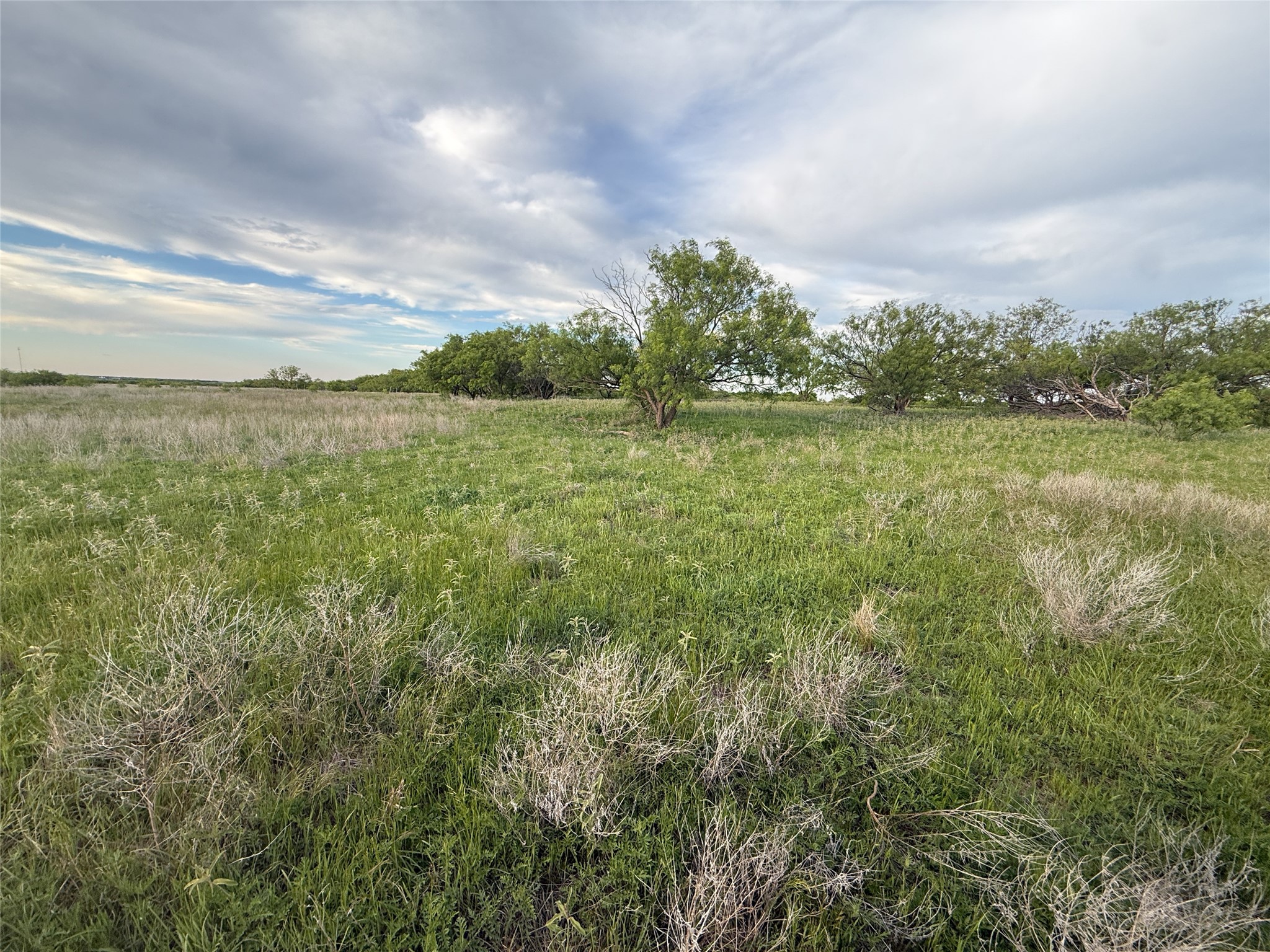 508 W Hugo Petrolia TX 76377