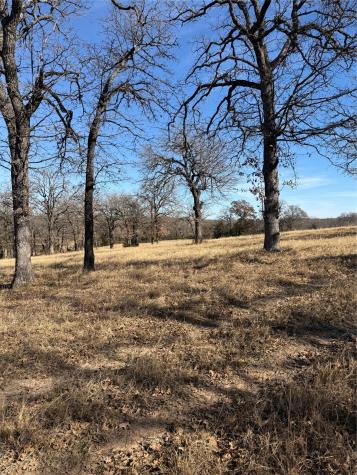 1072 Three Skillet Road Springtown TX 76082
