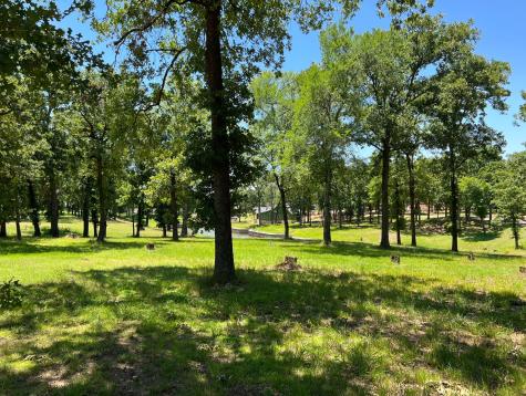 112 Pinnacle Club Drive Mabank TX 75156