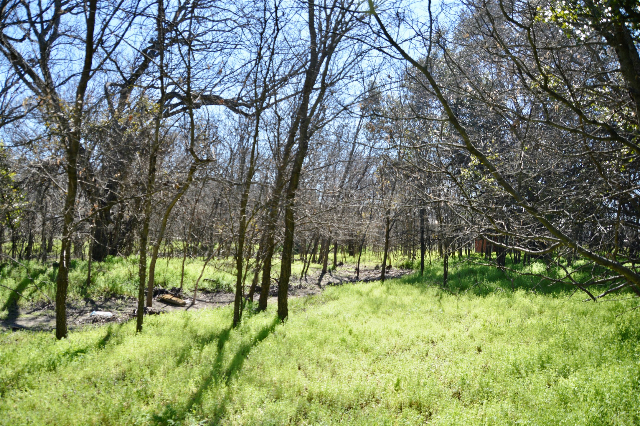 1407 W Maple Goldthwaite TX 76844