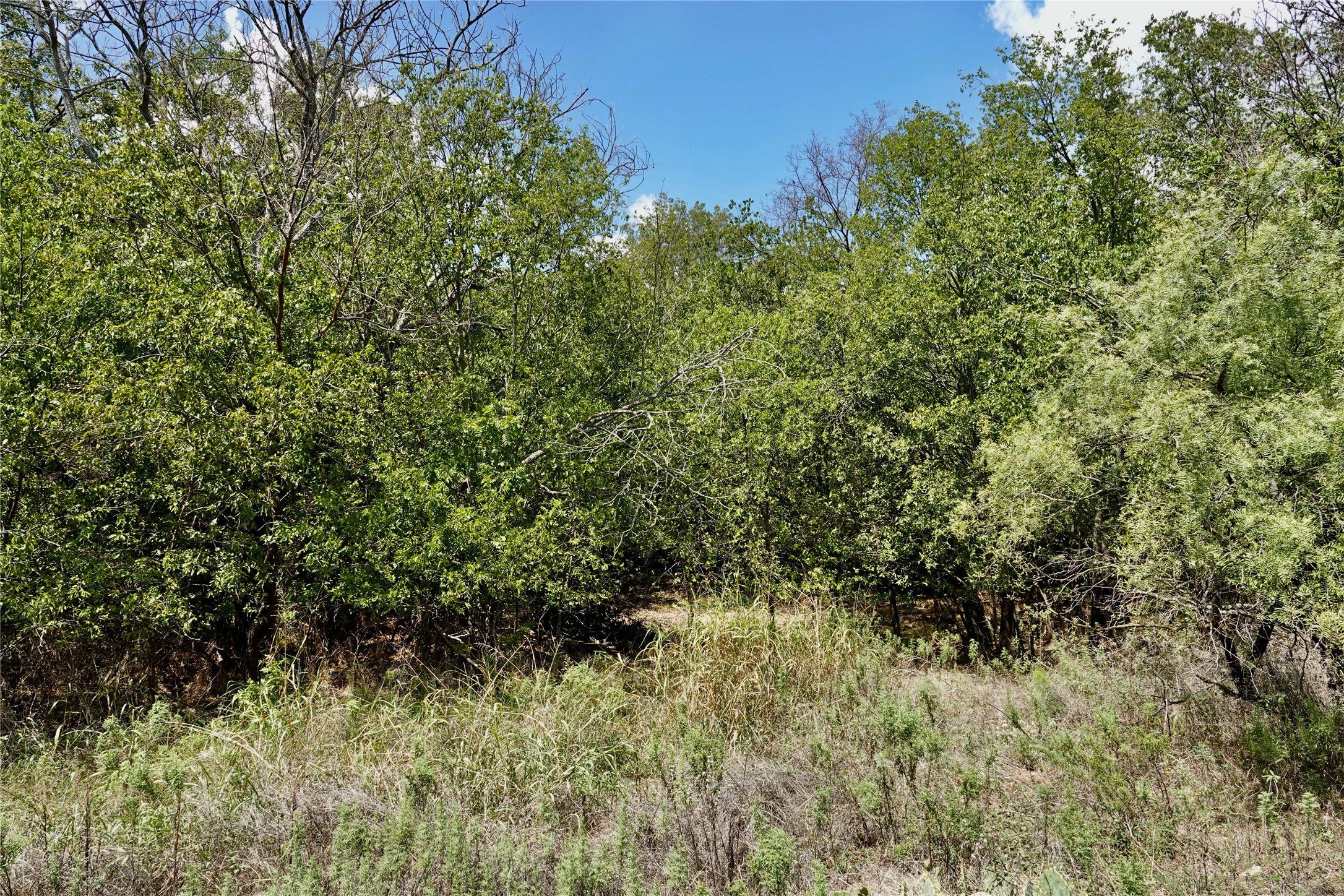 1407 W Maple Goldthwaite TX 76844