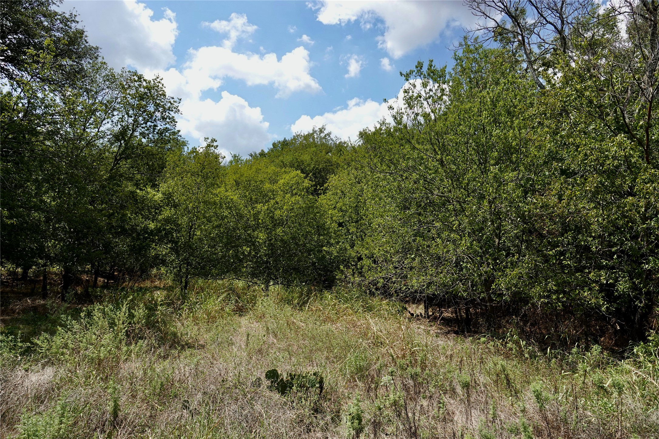 1407 W Maple Goldthwaite TX 76844