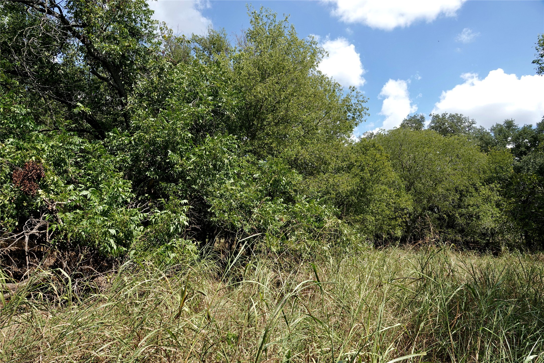 1407 W Maple Goldthwaite TX 76844