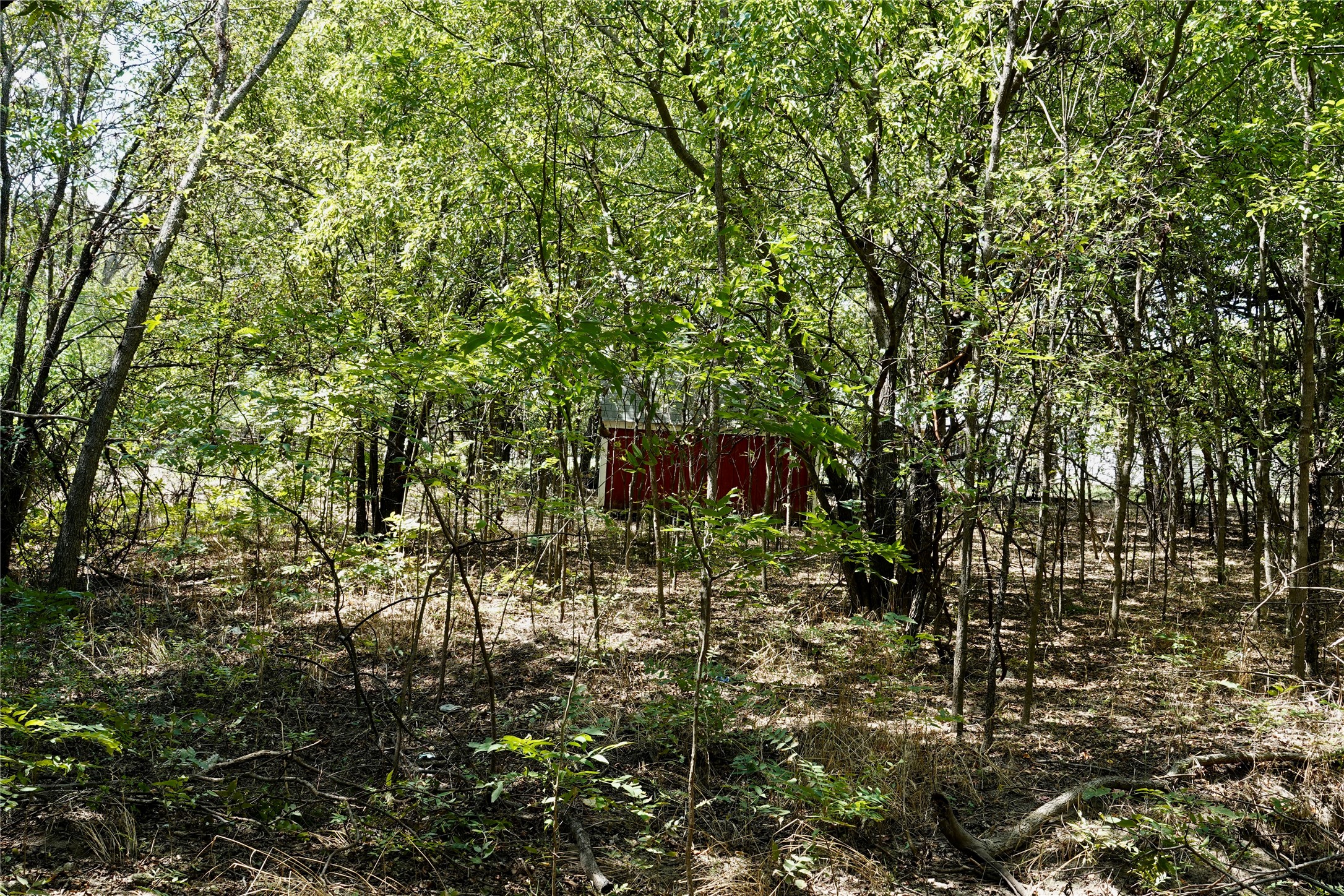1407 W Maple Goldthwaite TX 76844