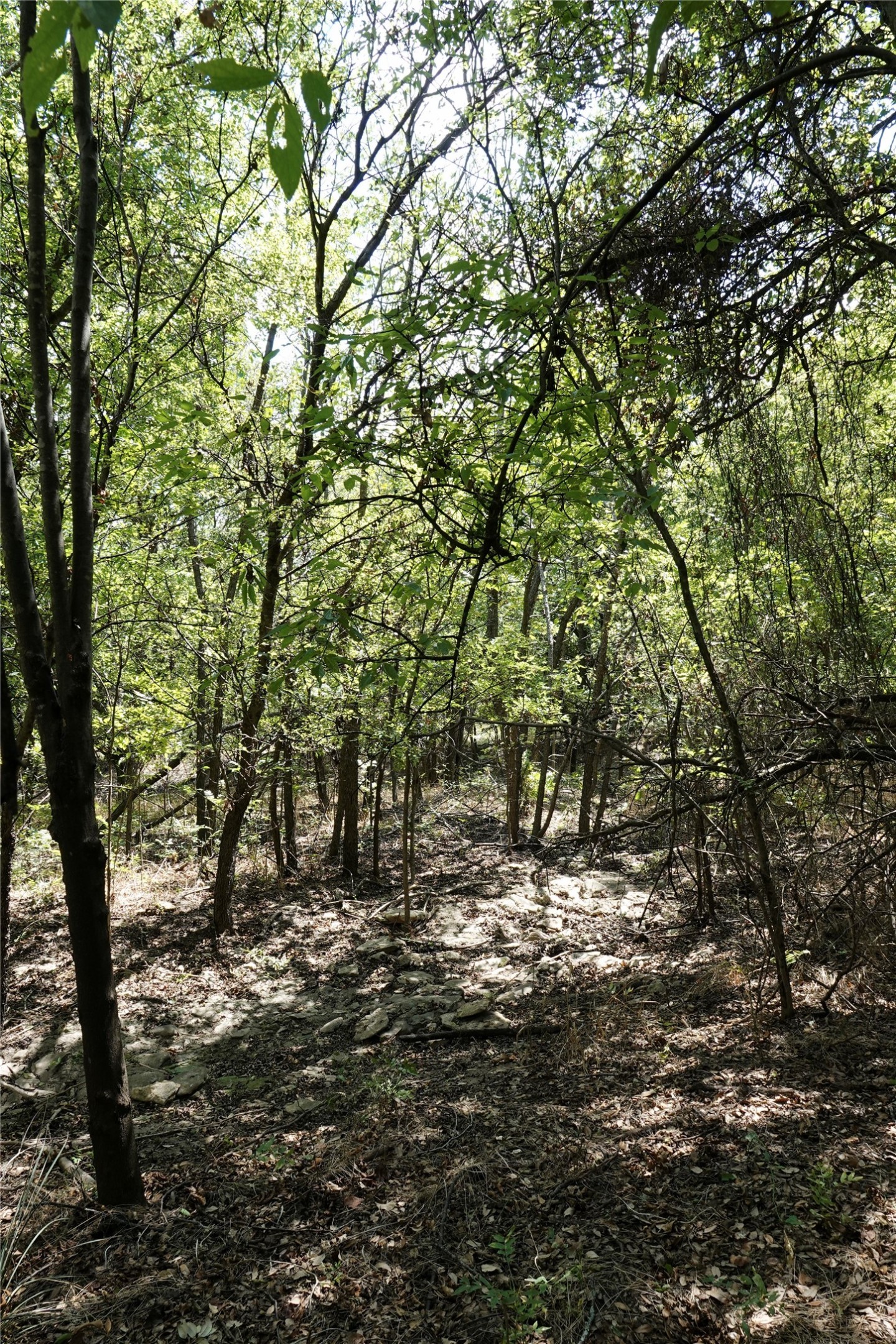 1407 W Maple Goldthwaite TX 76844