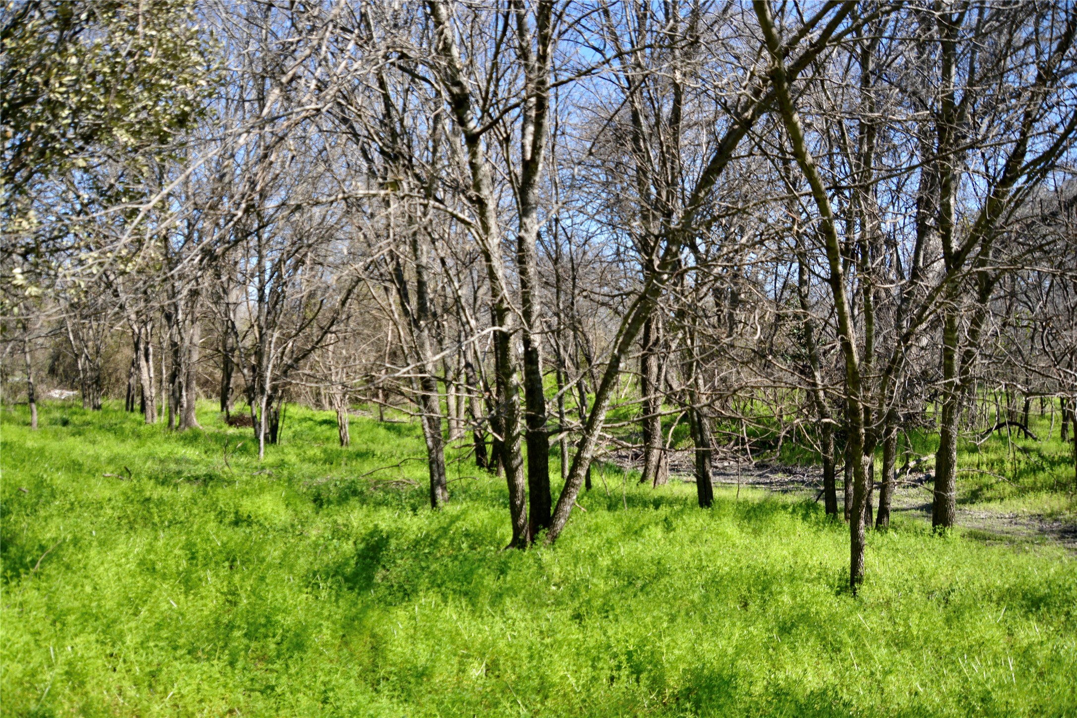1407 W Maple Goldthwaite TX 76844