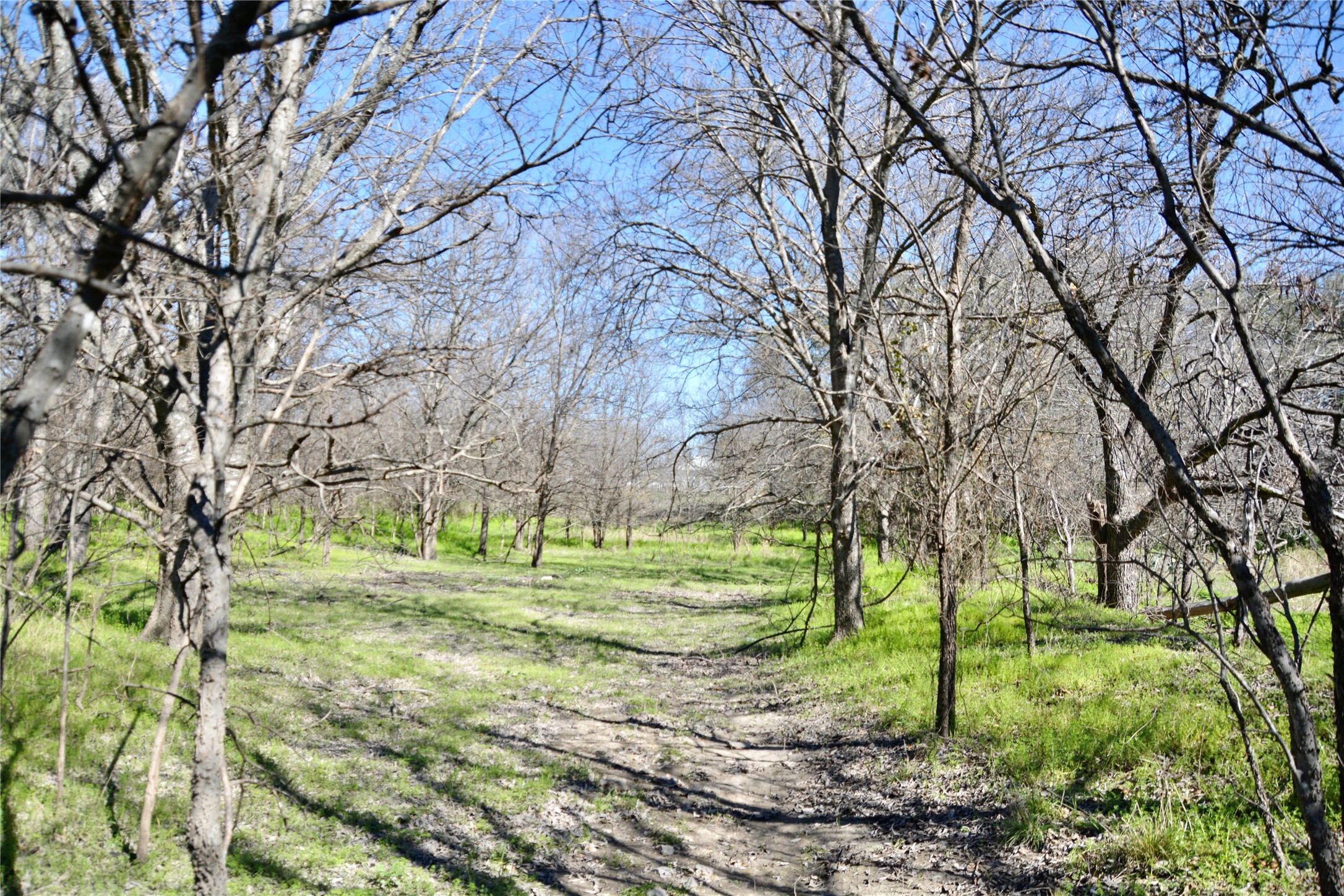 1407 W Maple Goldthwaite TX 76844
