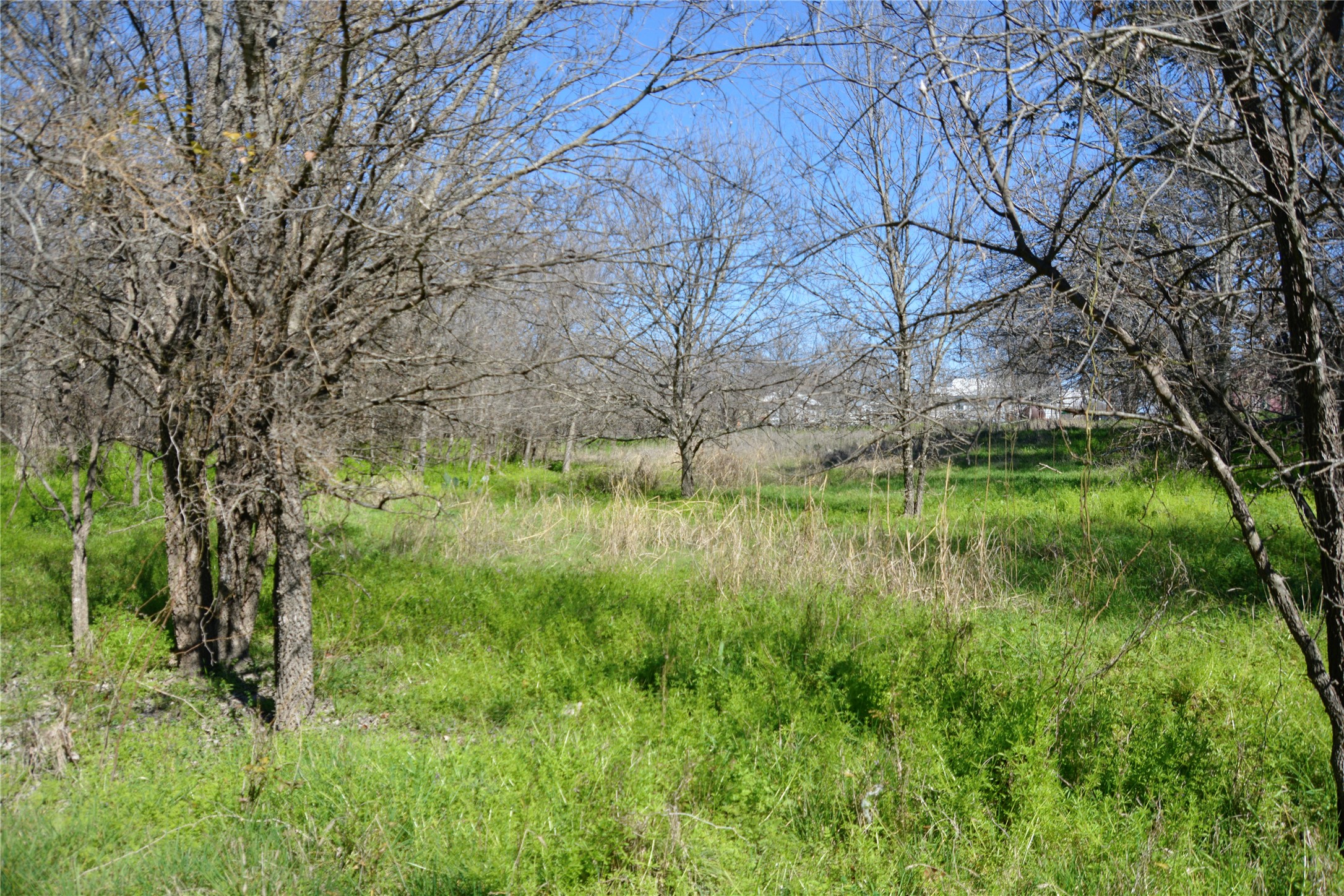 1407 W Maple Goldthwaite TX 76844