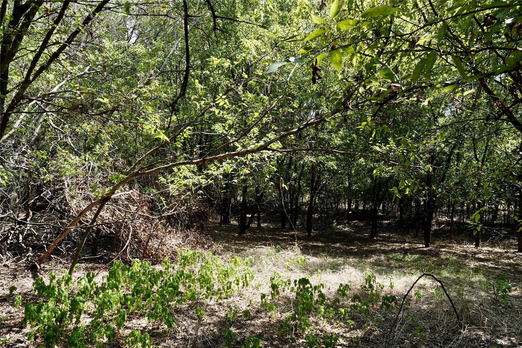 1407 W Maple Goldthwaite TX 76844