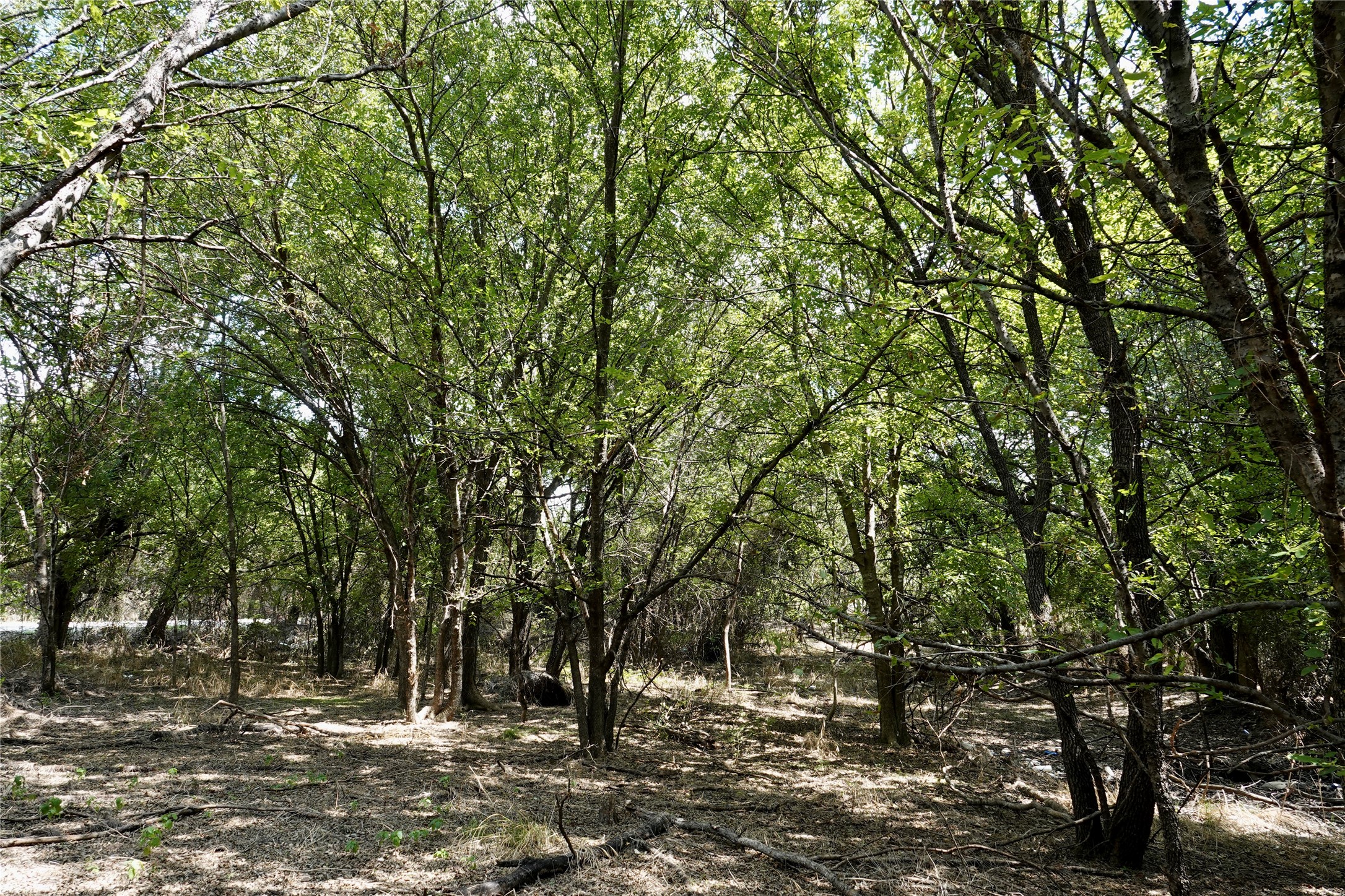 1407 W Maple Goldthwaite TX 76844