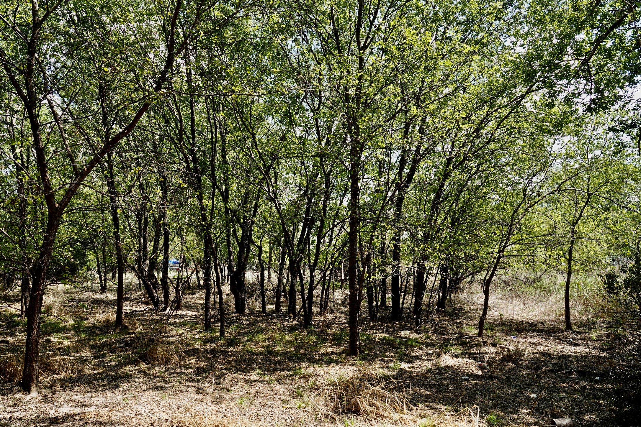 1407 W Maple Goldthwaite TX 76844
