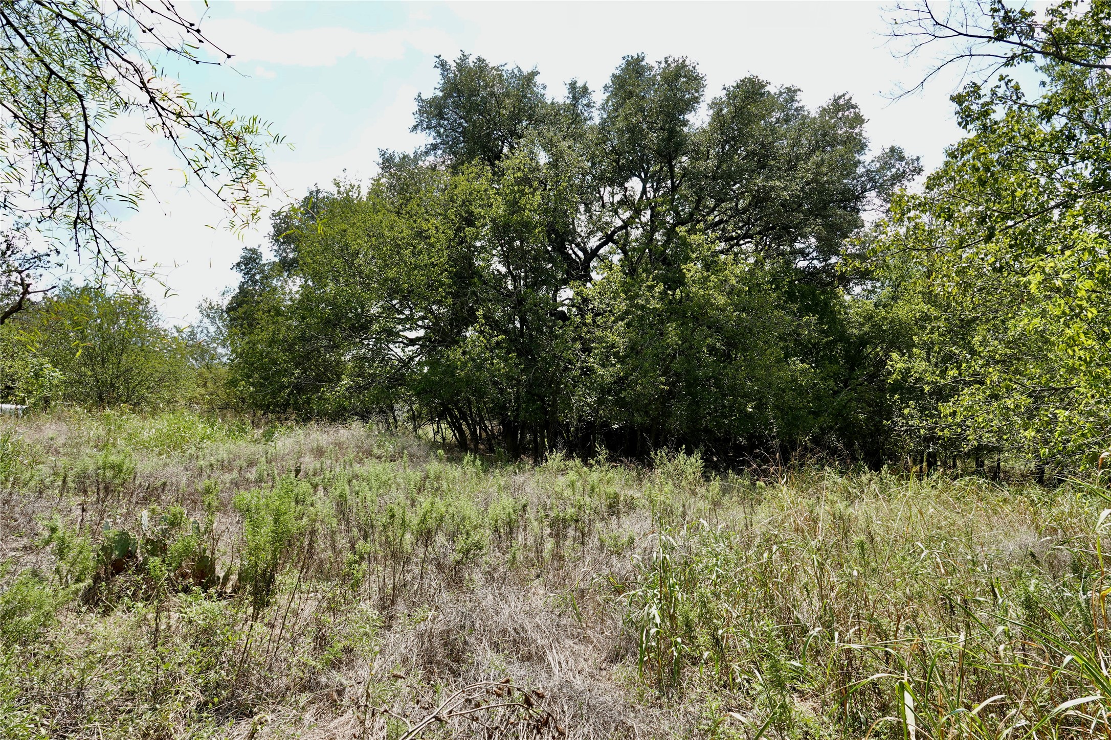 1407 W Maple Goldthwaite TX 76844